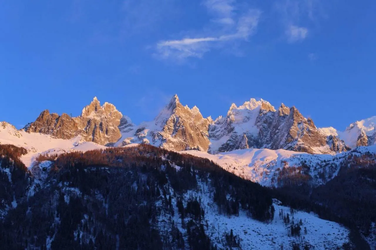 Grand Appt Vue Mont Blanc Apartment Chamonix